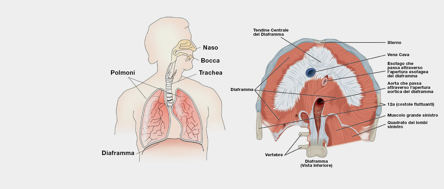 Tecnica ed Educazione Vocale